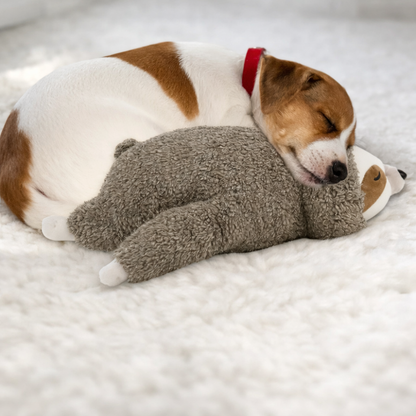 Peluche Apaisante Battement de Cœur – Sommeil & Anti-Stress pour Chien